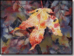 Autumn Bliss by Joan Hansen